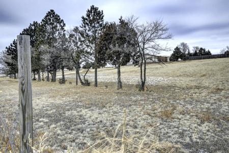 12050 Blaney Rd S, Peyton, CO 80831