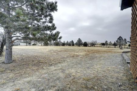 12050 Blaney Rd S, Peyton, CO 80831